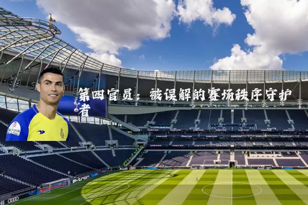 第四官员：被误解的赛场秩序守护者